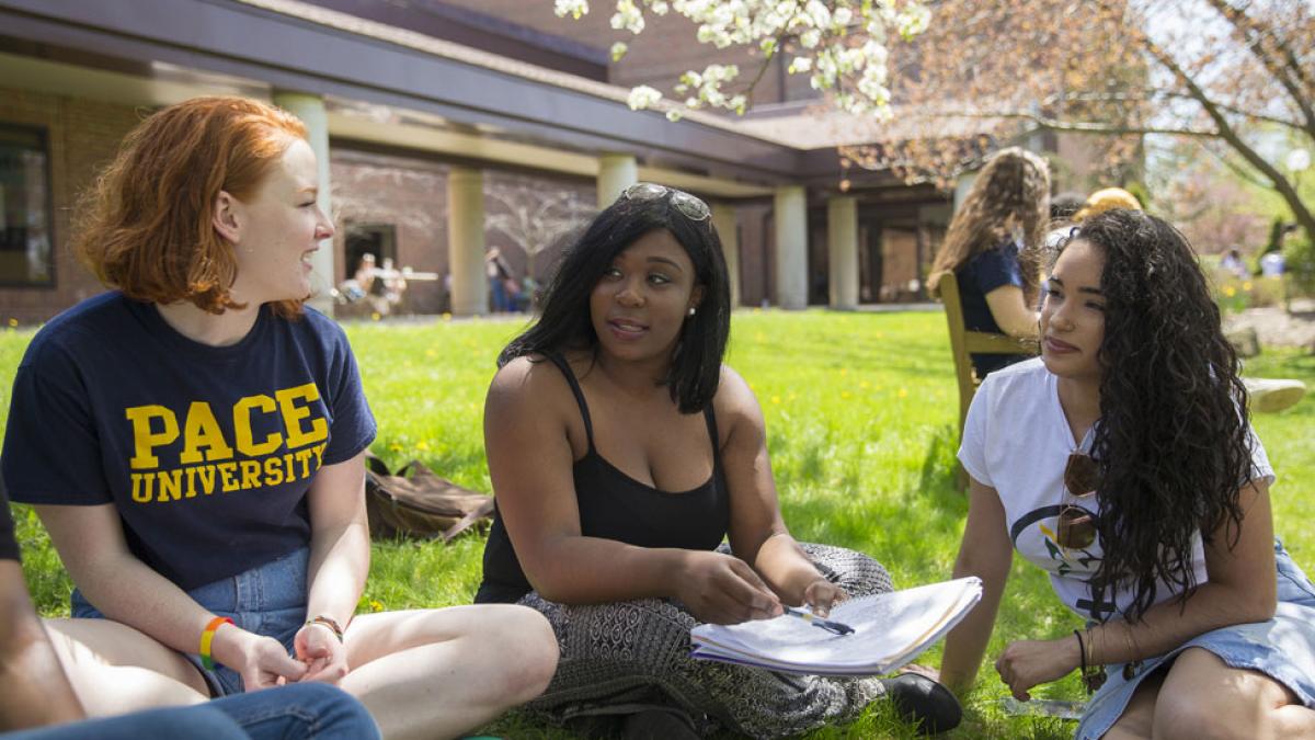 一群学生在图书馆前草坪上享受阳光夏日