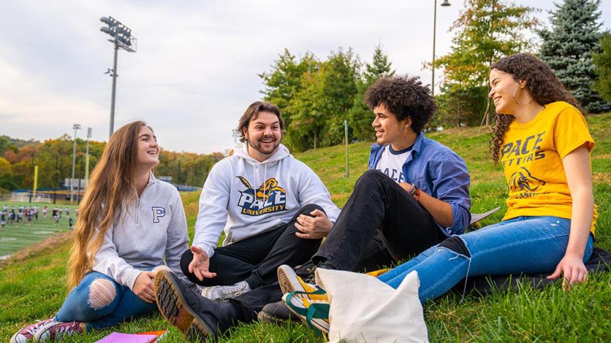 4名学生坐在草地上聊天
